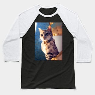 Knight cat: Poncharello Baseball T-Shirt